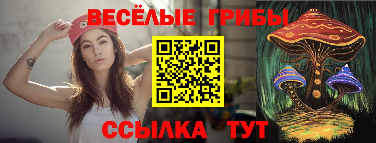 Псилоцибиновые грибы MAGIC MUSHROOMS  Вход с VPN  Темрюк 