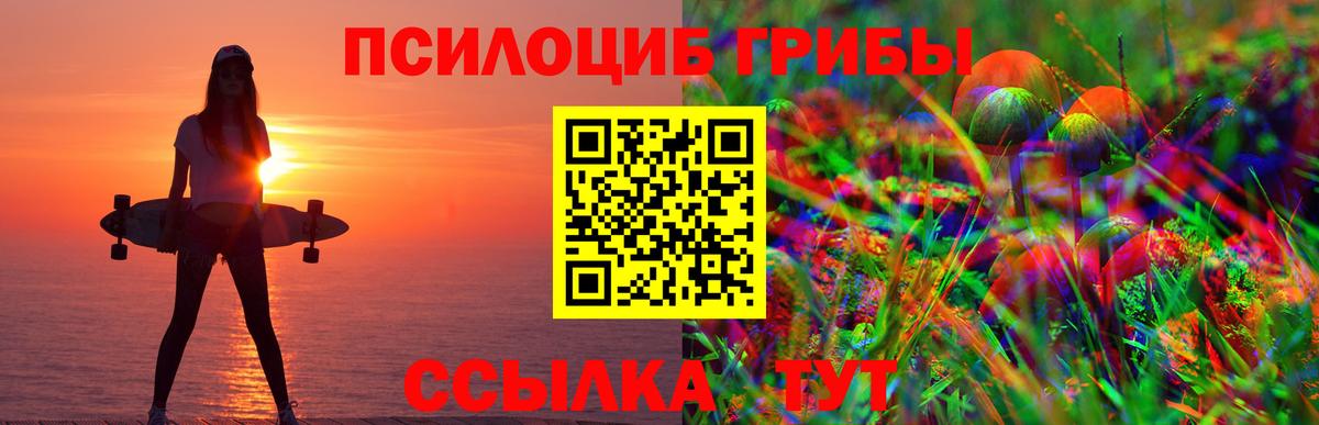 Галлюциногенные грибы Psilocybe Темрюк